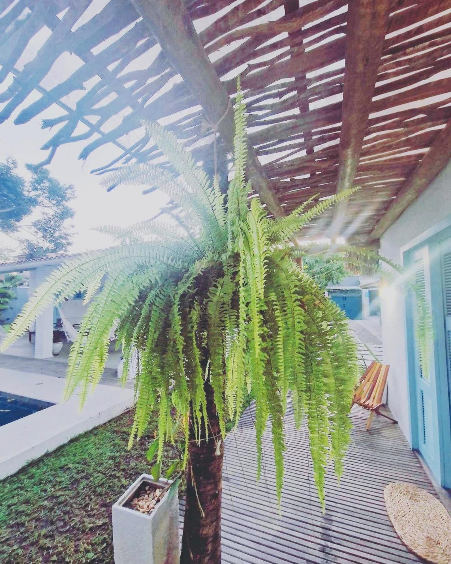 פראקורו Villa Parazinho מראה חיצוני תמונה